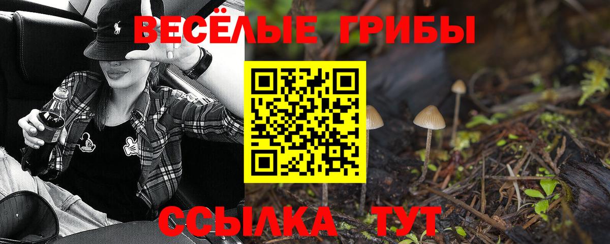 Галлюциногенные грибы Magic Shrooms  Псилоцибиновые грибы Magic Shrooms  Мичуринск  Вход с VPN 